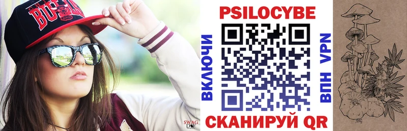 цены   Краснообск  Галлюциногенные грибы Psilocybine cubensis 
